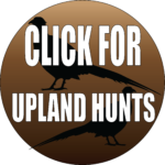 UPLAND BUTTON