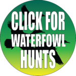 WATERFOWL BUTTON